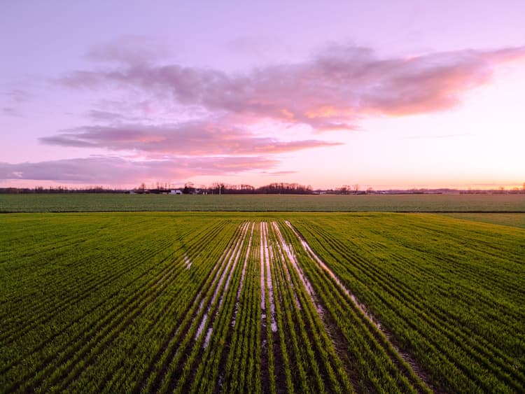 The Farm Nobody Sees