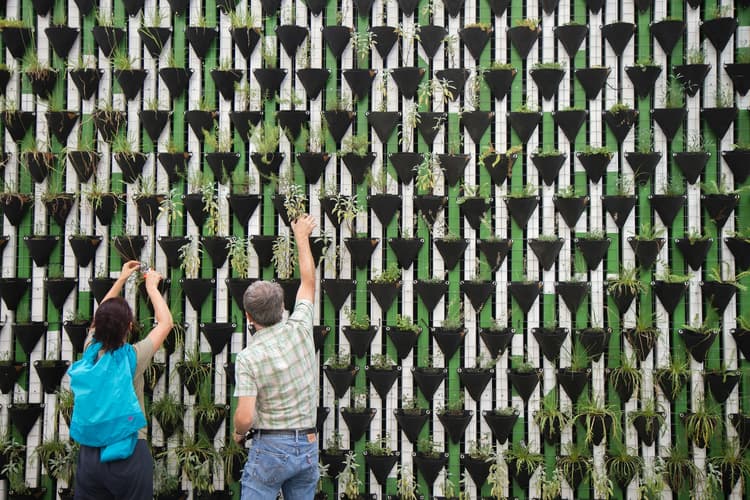 Own the Change – Local Sustainability Own the Change – Local Sustainability